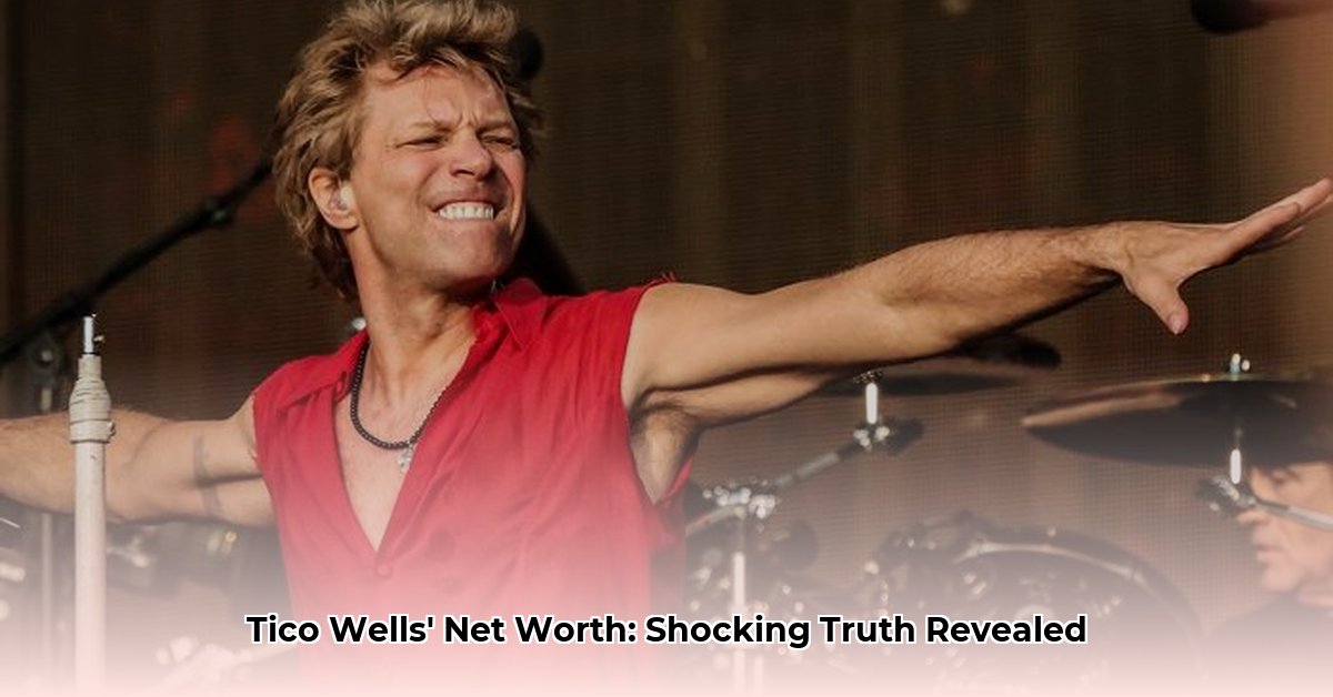 tico wells net worth